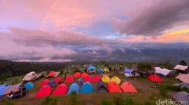 Traveler menikmati suasana sejuk dan hijau di Kebun Raya Dempo, Pagar Alam, sambil camping dan menjelajahi lanskap pegunungan yang menakjubkan