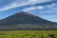 Pendaki menapaki jalur aman Gunung Kerinci setelah BBTNKS membuka kembali akses mulai 12 Februari 2026.