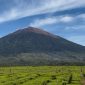 Pendaki menapaki jalur aman Gunung Kerinci setelah BBTNKS membuka kembali akses mulai 12 Februari 2026.