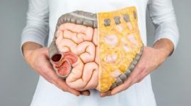 Foto ilustrasi: Istock