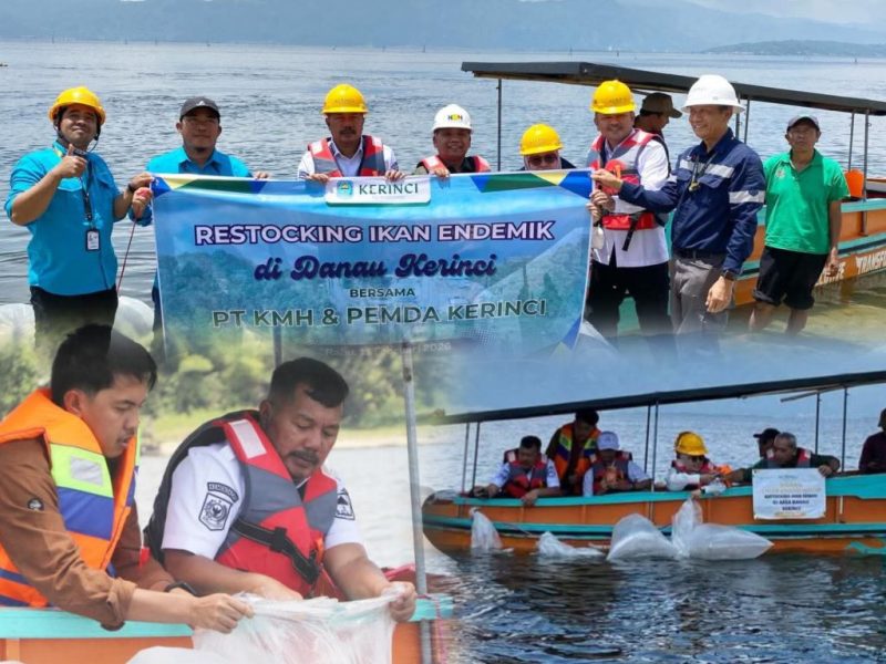 Berikut beberapa pilihan keterangan foto yang singkat dan informatif:

Bupati Kerinci Monadi bersama PT KMH menebarkan ikan endemik di Danau Kerinci, Rabu (11/2/2026).
