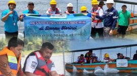 Berikut beberapa pilihan keterangan foto yang singkat dan informatif:

Bupati Kerinci Monadi bersama PT KMH menebarkan ikan endemik di Danau Kerinci, Rabu (11/2/2026).