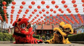 Pertunjukan Barongsai tradisi saat Imlek (Foto:Canva/Ist)