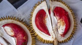 Durian Merah Banyuwangi memiliki daging buah merah alami dan aroma khas dari lereng Gunung Ijen.
