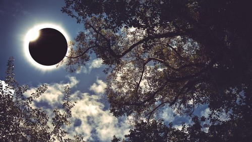 Foto: Ilustrasi gerhana matahari cincin.(Getty Images/iStockphoto/kdshutterma