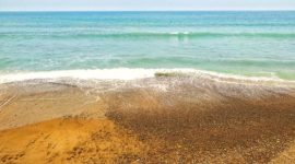 Ilustrasi (Shutterstock)