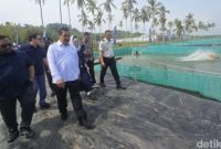 Menteri Imigrasi dan Pemasyarakatan Agus Andrianto bersama Komisi XIII DPR RI meninjau kolam budidaya ikan sidat di Nusakambangan, Cilacap, Jawa Tengah.