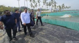 Menteri Imigrasi dan Pemasyarakatan Agus Andrianto bersama Komisi XIII DPR RI meninjau kolam budidaya ikan sidat di Nusakambangan, Cilacap, Jawa Tengah.