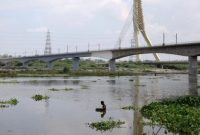 Foto: Sungai Yamuna di India. (REUTERS/Bhawika Chhabra)