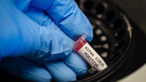 Ilustrasi (Foto: Getty Images/Manjurul)