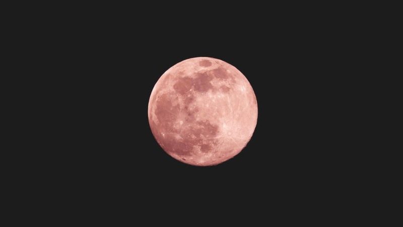 Fenomena alam pink moon. (Foto: unsplash.com/uomo libero)