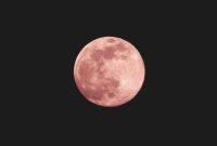 Fenomena alam pink moon. (Foto: unsplash.com/uomo libero)