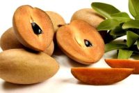 Buah sawo mengandung serat, vitamin, dan antioksidan yang baik untuk kesehatan tubuh.