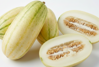 Timun suri menjadi buah favorit saat Ramadan karena rasanya segar dan kaya air.