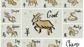 Ilustrasi enam shio yang diprediksi membawa keberuntungan dan kemakmuran pada 4 Maret 2026 (Ilustrasi 12 tanda shio. (Freepik)