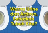 Perubahan warna urine menjadi lebih gelap saat puasa umumnya terjadi karena tubuh kekurangan cairan.