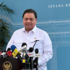 Menko Perekonomian Airlangga (Eva/detikcom)