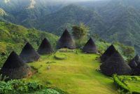 Panorama alam yang mengelilingi Desa Wae Rebo menghadirkan suasana sejuk dan alami. ( foto pexels)