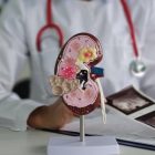 Foto ilustrasi: Getty Images/Nadzeya Haroshka