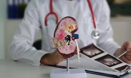 Ilustrasi organ ginjal manusia dengan fokus pada fungsi penyaringan darah dan kesehatan ginjal