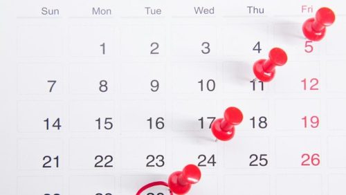 foto slider headline