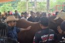 Foto: Ahmad Muzani meresmikan pembukaan Kontes Sapi APPSI di Wonosobo, menyoroti peluang besar peternak jelang Hari Raya Idul Adha. (dok. istimewa)