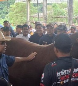 Muzani Dorong Peternak Maksimalkan Peluang Idul Adha