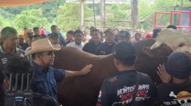 Foto: Ahmad Muzani meresmikan pembukaan Kontes Sapi APPSI di Wonosobo, menyoroti peluang besar peternak jelang Hari Raya Idul Adha. (dok. istimewa)
