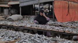 Ikan asin menjadi lauk favorit masyarakat, namun tetap perlu dikonsumsi secara bijak karena kandungan garamnya tinggi.