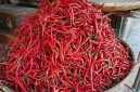 Cabe merah naik di Pasar Tanjung Bajure.
