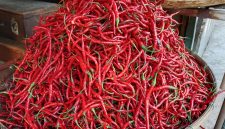 Cabe merah naik di Pasar Tanjung Bajure.