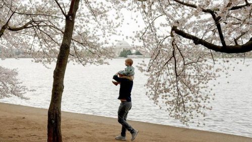 Tren pariwisata global kini bergeser, wisatawan lebih memilih pengalaman bermakna dibanding sekadar mengunjungi banyak tempat.