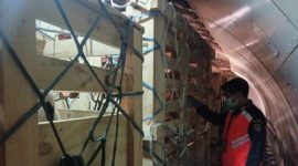 Ratusan Domba-Sapi Perah Australia Tiba di RI/Foto: Dok. Badan Karantina Indonesia