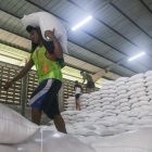 Andi Amran Sulaiman saat meninjau gudang beras Bulog di Karawang, Jawa Barat, Kamis (23/4/2026).