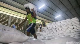 Andi Amran Sulaiman saat meninjau gudang beras Bulog di Karawang, Jawa Barat, Kamis (23/4/2026).