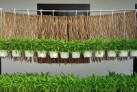 Berbagai ide kebun kangkung gantung yang memanfaatkan ruang vertikal di halaman rumah sempit.