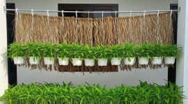 Berbagai ide kebun kangkung gantung yang memanfaatkan ruang vertikal di halaman rumah sempit.