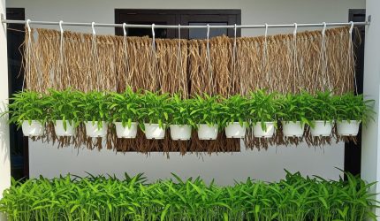 Kebun kangkung gantung di halaman sempit dengan pot botol plastik, rak vertikal, dan polybag yang disusun rapi.