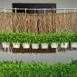 Berbagai ide kebun kangkung gantung yang memanfaatkan ruang vertikal di halaman rumah sempit.