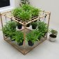 de Kebun Kangkung Gantung untuk Halaman Sempit. Gemini
