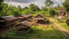 Ilustrasi Peternak merawat ayam Kampung Unggul Balitbangtan (KUB) di pekarangan rumah sebagai usaha produktif bagi pensiunan(Gemini AI)