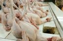 Ilustrasi daging ayam  sebagai salah satu komoditas yang memengaruhi inflasi di Sumatera Barat.