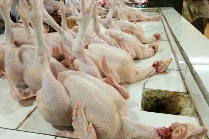 Ilustrasi daging ayam  sebagai salah satu komoditas yang memengaruhi inflasi di Sumatera Barat.