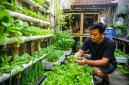 Kebun sayur di lahan sempit  sistem hidroponik sebagai contoh agribisnis rumahan yang produktif. (Foto AI)