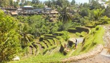 Pemandangan Ubud Bali dengan sawah terasering dan suasana desa yang asri