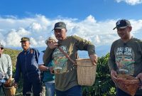 Bupati Kerinci Monadi bersama Wakil Bupati H. Murison saat menghadiri Festival Panen Kopi Robusta Tamiai di Kerinci. (Foto khairul Eksis)