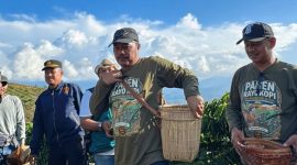 Bupati Kerinci Monadi bersama Wakil Bupati H. Murison saat menghadiri Festival Panen Kopi Robusta Tamiai di Kerinci. (Foto khairul Eksis)