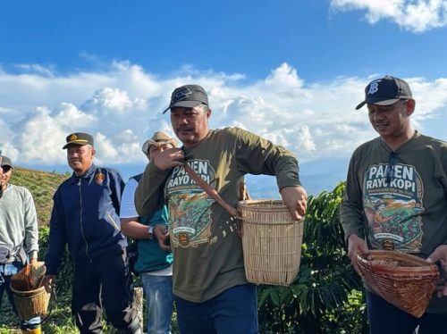 Bupati Kerinci Monadi bersama Wakil Bupati H. Murison saat menghadiri Festival Panen Kopi Robusta Tamiai di Kerinci. (Foto khairul Eksis)