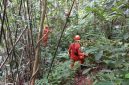 Ilustrasi pencarian orang hilang di hutan. (Foto: Istimewa).