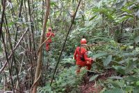 Ilustrasi pencarian orang hilang di hutan. (Foto: Istimewa).
